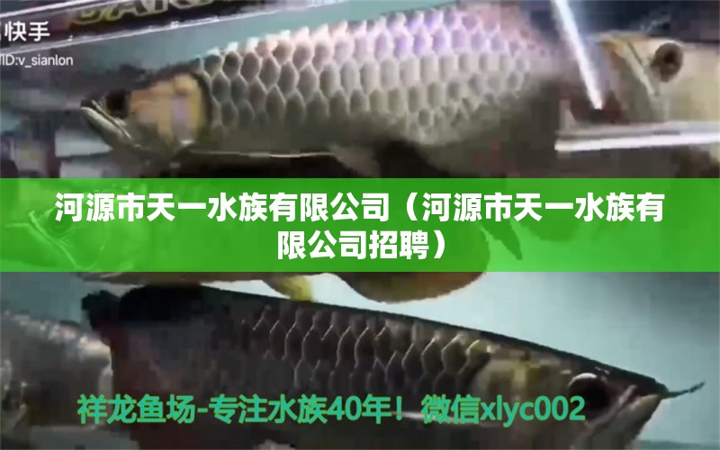 河源市天一水族有限公司（河源市天一水族有限公司招聘）