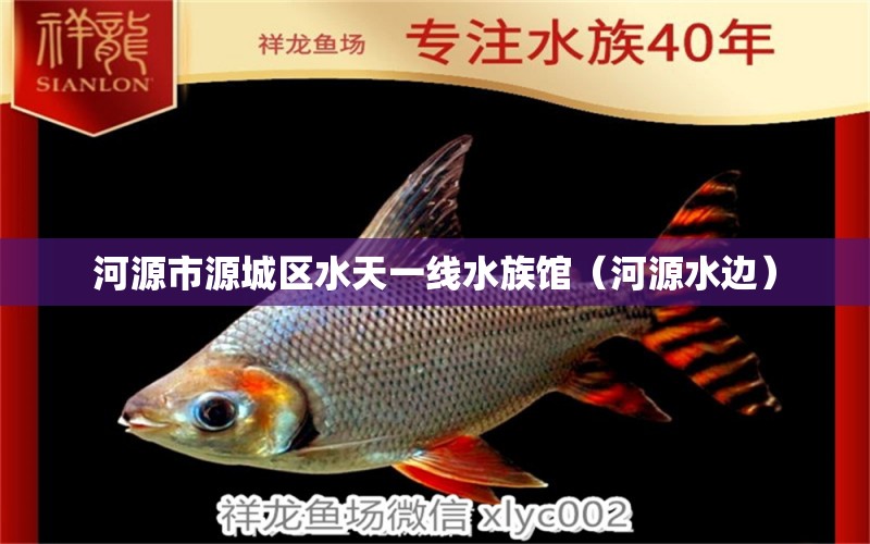 河源市源城区水天一线水族馆（河源水边） 全国水族馆企业名录