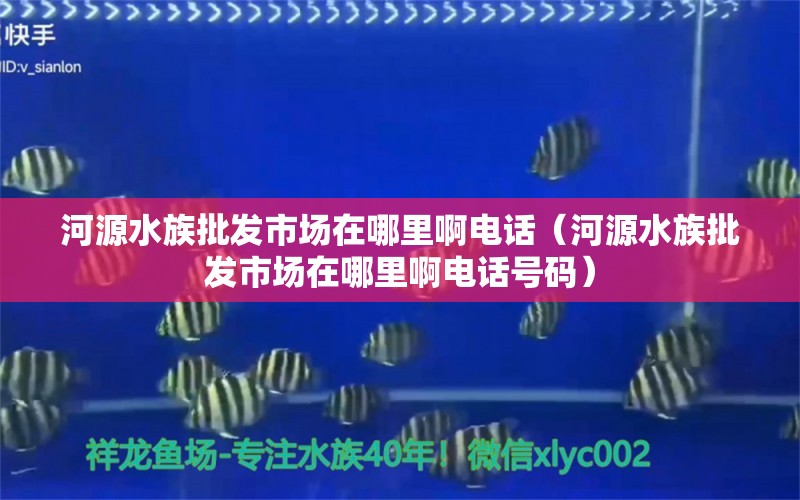 河源水族批发市场在哪里啊电话（河源水族批发市场在哪里啊电话号码）