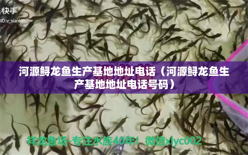 河源鲟龙鱼生产基地地址电话（河源鲟龙鱼生产基地地址电话号码） 泰国斗鱼