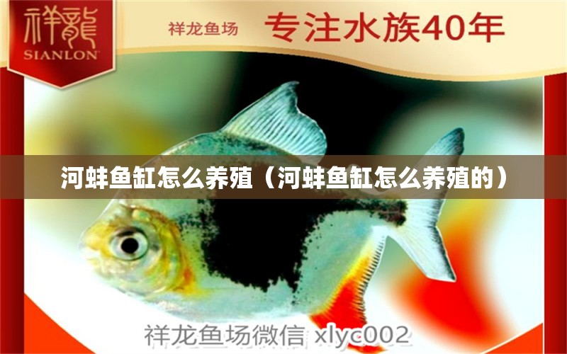 河蚌鱼缸怎么养殖（河蚌鱼缸怎么养殖的） 祥龙水族医院