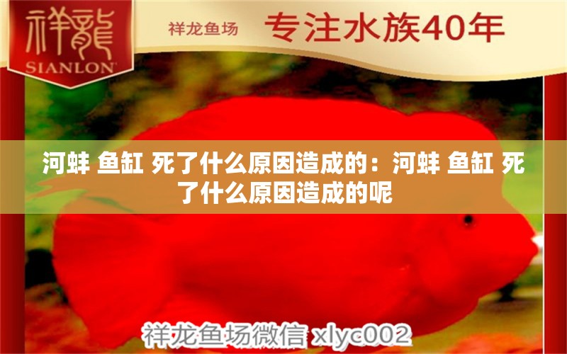 河蚌 鱼缸 死了什么原因造成的：河蚌 鱼缸 死了什么原因造成的呢 观赏鱼