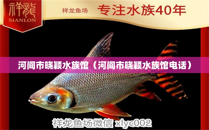 河间市晓颖水族馆（河间市晓颖水族馆电话）