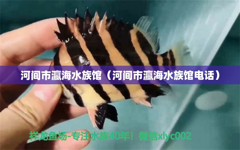 河间市瀛海水族馆（河间市瀛海水族馆电话）