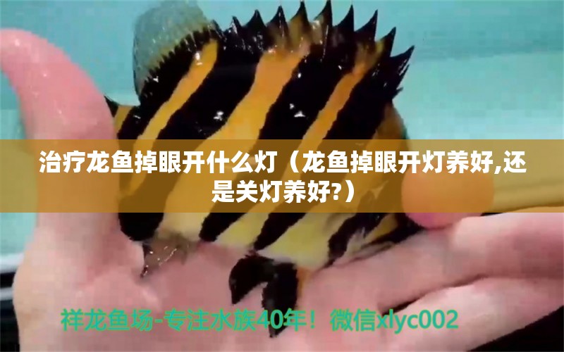 治疗龙鱼掉眼开什么灯（龙鱼掉眼开灯养好,还是关灯养好?） 祥龙水族医院