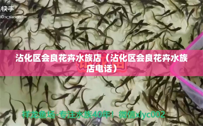 沾化区会良花卉水族店（沾化区会良花卉水族店电话） 全国水族馆企业名录