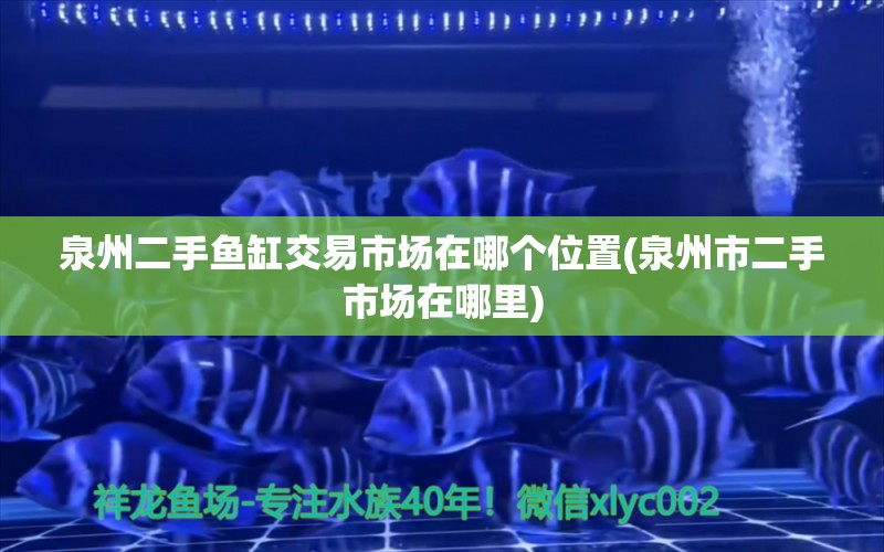 泉州二手鱼缸交易市场在哪个位置(泉州市二手市场在哪里) 金龙鱼粮