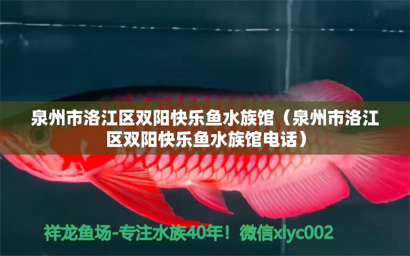 泉州市洛江区双阳快乐鱼水族馆（泉州市洛江区双阳快乐鱼水族馆电话）