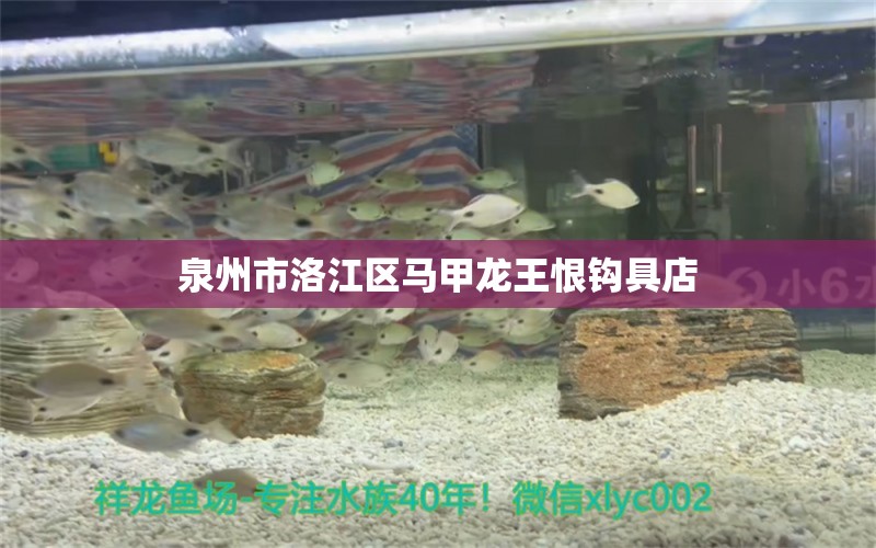 泉州市洛江区马甲龙王恨钩具店 全国水族馆企业名录