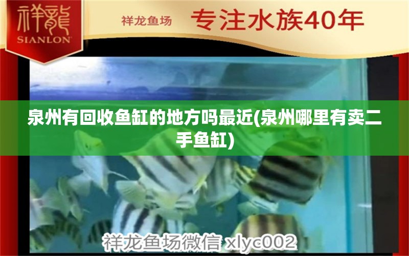 泉州有回收鱼缸的地方吗最近(泉州哪里有卖二手鱼缸) 招财战船鱼