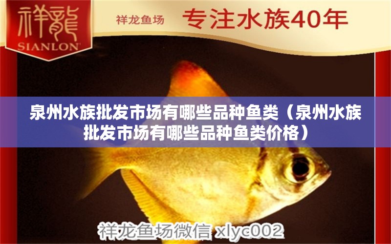 泉州水族批发市场有哪些品种鱼类（泉州水族批发市场有哪些品种鱼类价格）