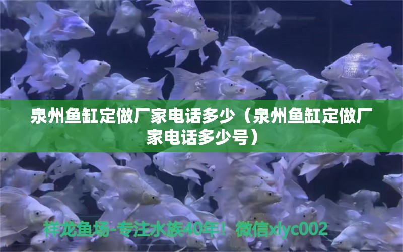 泉州鱼缸定做厂家电话多少（泉州鱼缸定做厂家电话多少号） 潜水艇鱼