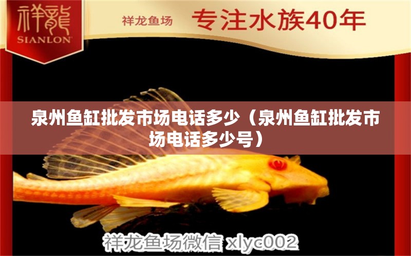 泉州鱼缸批发市场电话多少（泉州鱼缸批发市场电话多少号） 祥龙水族医院