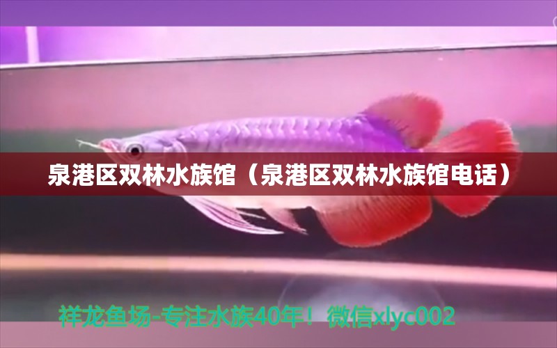 泉港区双林水族馆（泉港区双林水族馆电话）