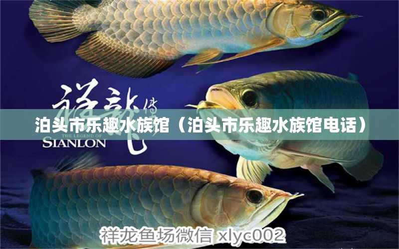 泊头市乐趣水族馆（泊头市乐趣水族馆电话）