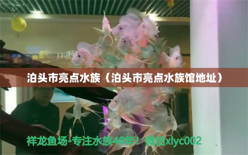 泊头市亮点水族（泊头市亮点水族馆地址）