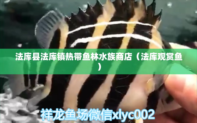 法库县法库镇热带鱼林水族商店（法库观赏鱼） 全国水族馆企业名录