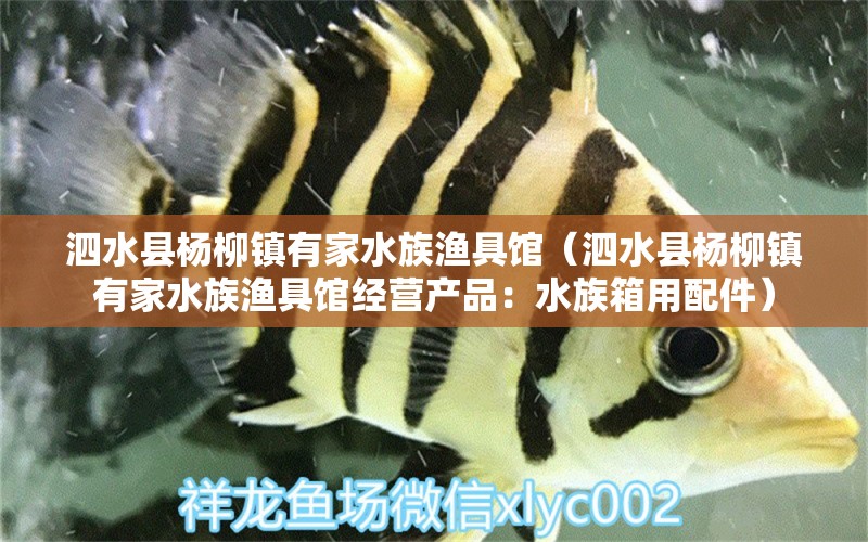 泗水县杨柳镇有家水族渔具馆（泗水县杨柳镇有家水族渔具馆经营产品：水族箱用配件） 全国观赏鱼市场 第2张