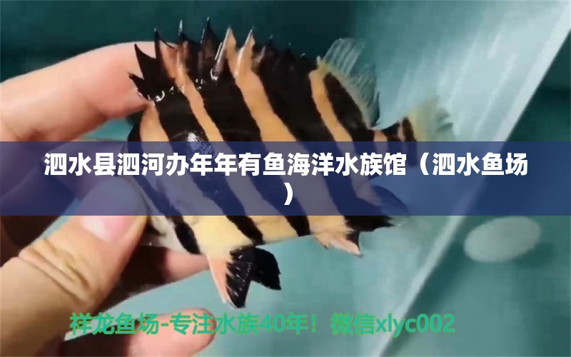 泗水县泗河办年年有鱼海洋水族馆（泗水鱼场）