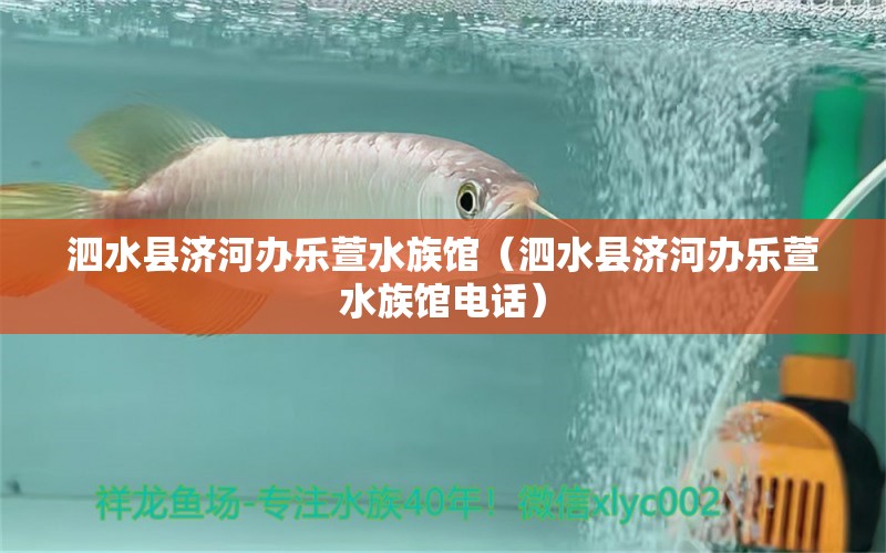 泗水县济河办乐萱水族馆（泗水县济河办乐萱水族馆电话）