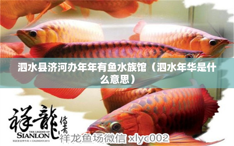 泗水县济河办年年有鱼水族馆（泗水年华是什么意思）