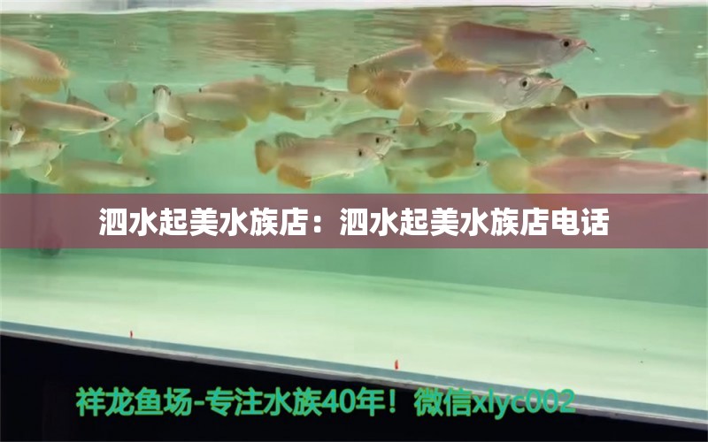 泗水起美水族店：泗水起美水族店电话 泗水龙鱼