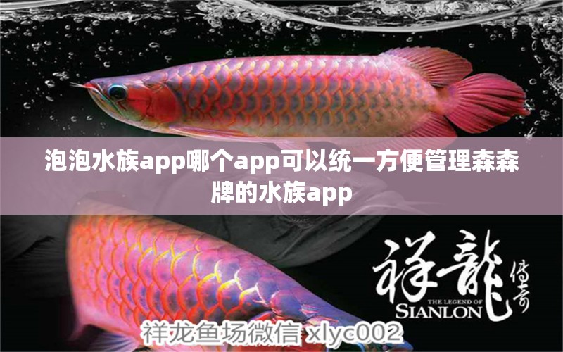 泡泡水族app哪个app可以统一方便管理森森牌的水族app 稀有红龙品种