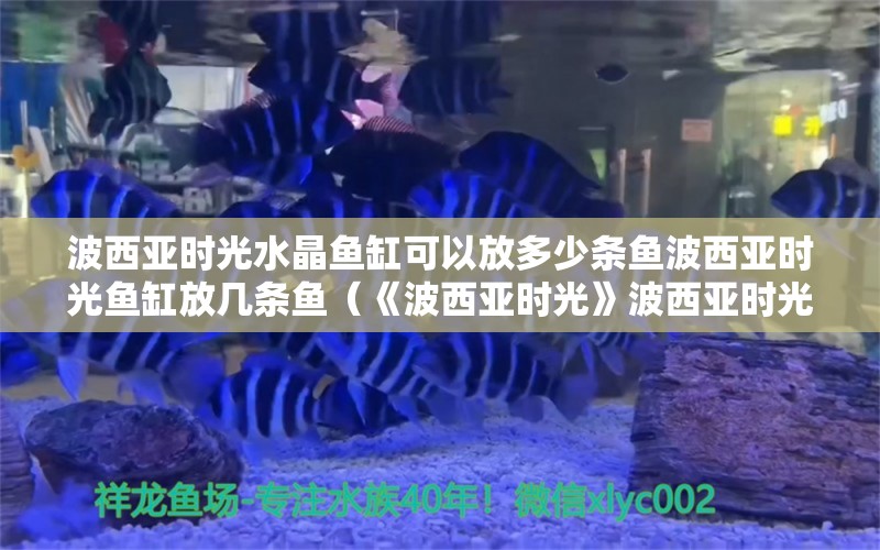 波西亚时光水晶鱼缸可以放多少条鱼波西亚时光鱼缸放几条鱼（《波西亚时光》波西亚时光水晶鱼缸可以放多少条鱼）