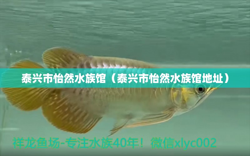 泰兴市怡然水族馆（泰兴市怡然水族馆地址）