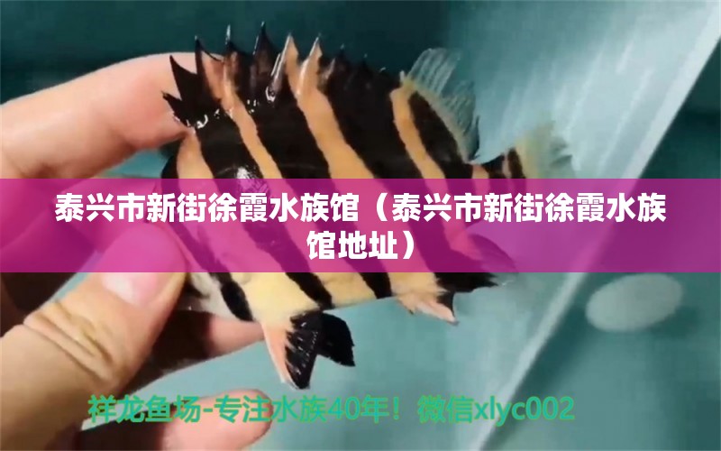 泰兴市新街徐霞水族馆（泰兴市新街徐霞水族馆地址）