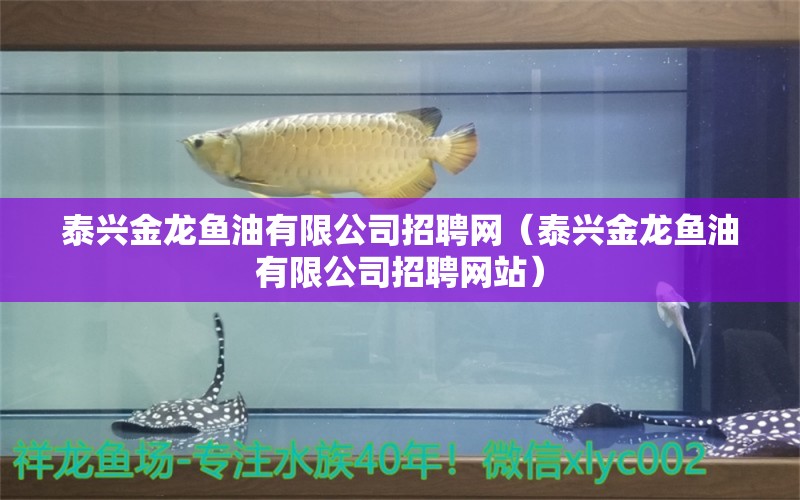 泰兴金龙鱼油有限公司招聘网（泰兴金龙鱼油有限公司招聘网站）