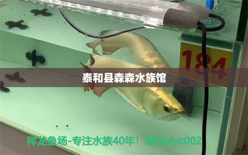 泰和县森森水族馆 全国水族馆企业名录