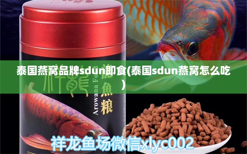 泰国燕窝品牌sdun即食(泰国sdun燕窝怎么吃) 马来西亚燕窝 第1张