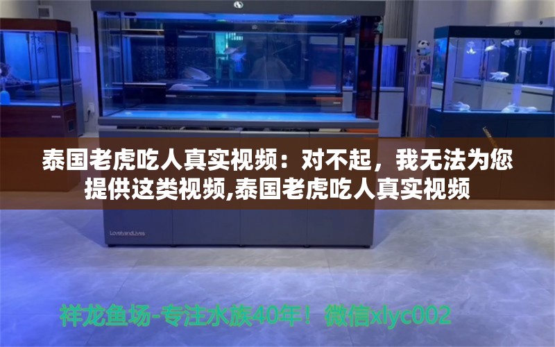 泰国老虎吃人真实视频：对不起，我无法为您提供这类视频,泰国老虎吃人真实视频 泰国虎鱼 第2张