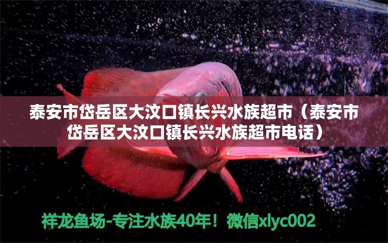 泰安市岱岳区大汶口镇长兴水族超市（泰安市岱岳区大汶口镇长兴水族超市电话）