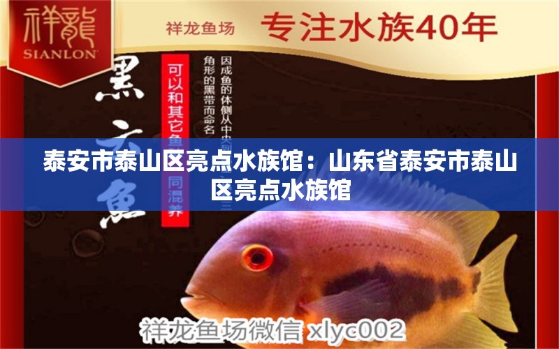 泰安市泰山区亮点水族馆：山东省泰安市泰山区亮点水族馆 全国观赏鱼市场 第1张