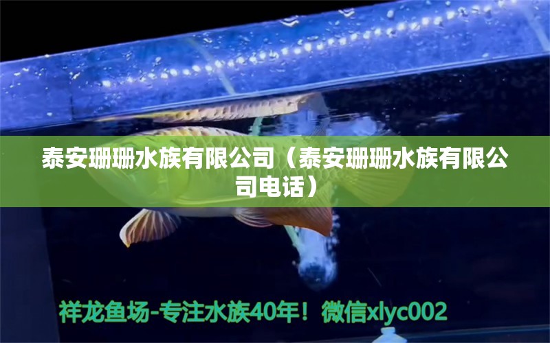 泰安珊珊水族有限公司（泰安珊珊水族有限公司电话） 全国水族馆企业名录