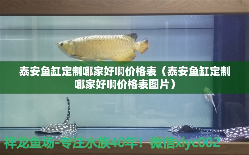 泰安鱼缸定制哪家好啊价格表（泰安鱼缸定制哪家好啊价格表图片） 定时器/自控系统