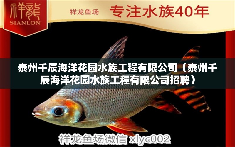 泰州千辰海洋花园水族工程有限公司（泰州千辰海洋花园水族工程有限公司招聘）