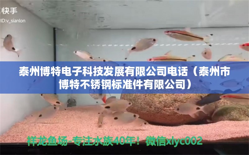 泰州博特电子科技发展有限公司电话（泰州市博特不锈钢标准件有限公司）