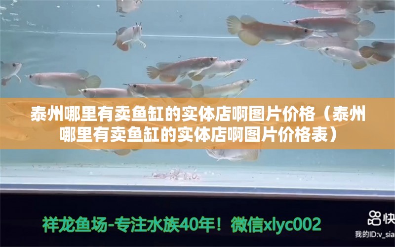 泰州哪里有卖鱼缸的实体店啊图片价格（泰州哪里有卖鱼缸的实体店啊图片价格表）