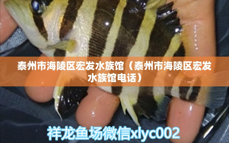 泰州市海陵区宏发水族馆（泰州市海陵区宏发水族馆电话）