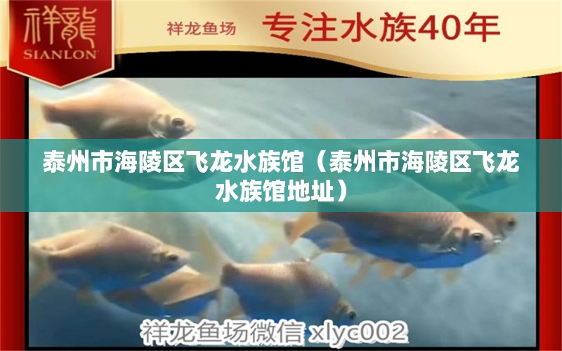 泰州市海陵区飞龙水族馆（泰州市海陵区飞龙水族馆地址）