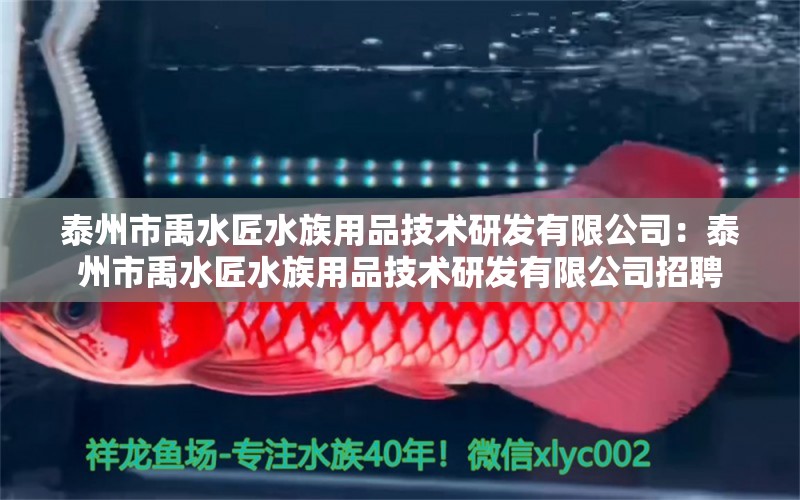 泰州市禹水匠水族用品技术研发有限公司：泰州市禹水匠水族用品技术研发有限公司招聘