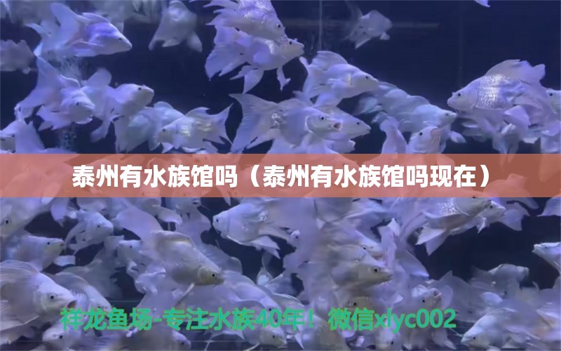 泰州有水族馆吗（泰州有水族馆吗现在） 广州龙鱼批发市场