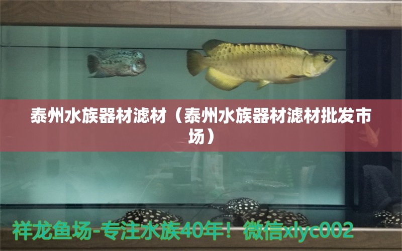 泰州水族器材滤材（泰州水族器材滤材批发市场） 广州水族器材滤材批发市场