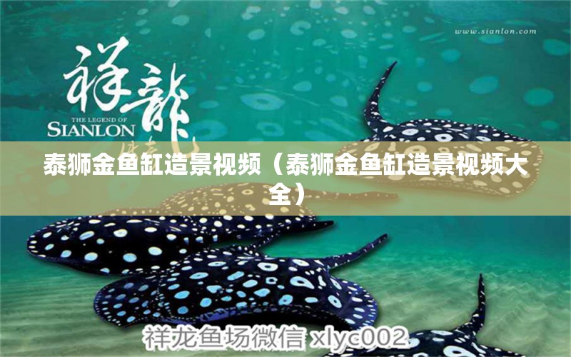 泰狮金鱼缸造景视频（泰狮金鱼缸造景视频大全） 祥龙水族医院