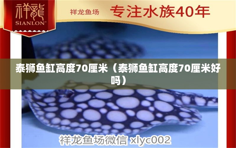 泰狮鱼缸高度70厘米（泰狮鱼缸高度70厘米好吗） 祥龙水族医院