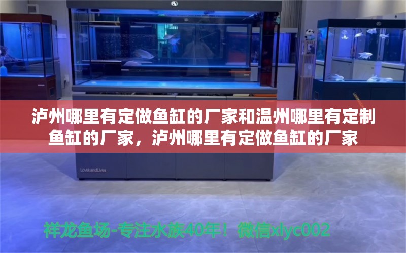 泸州哪里有定做鱼缸的厂家和温州哪里有定制鱼缸的厂家，泸州哪里有定做鱼缸的厂家 赤焰中国虎鱼 第1张