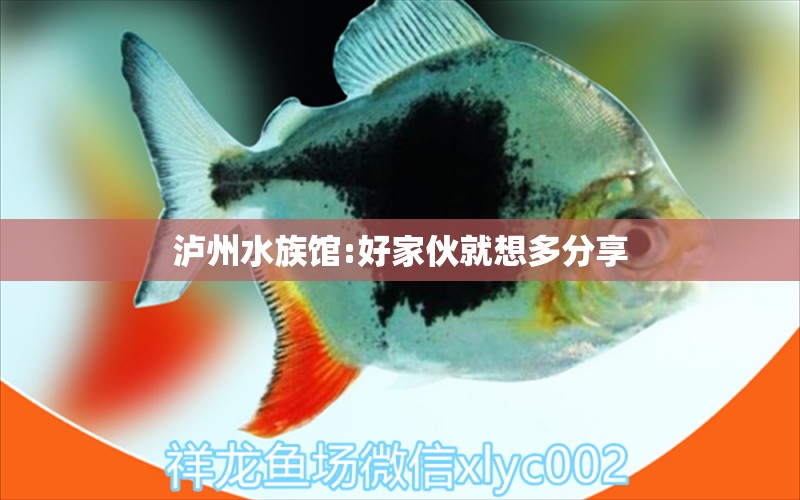 泸州水族馆:好家伙就想多分享 丹顶锦鲤鱼